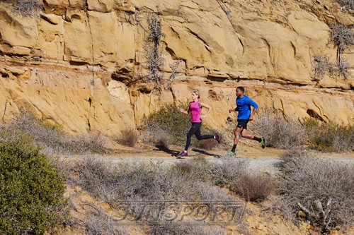   Asics W Scout 2 / (,  7)