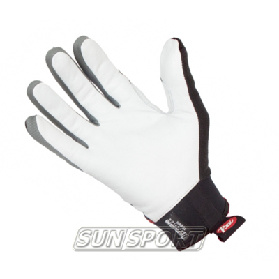  REX World Cup Racing (,  1)