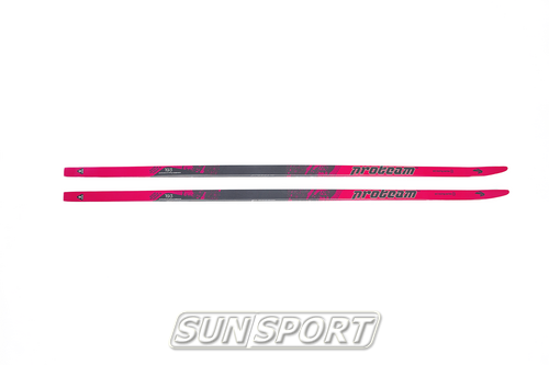  Proteam Base B-Series  ()