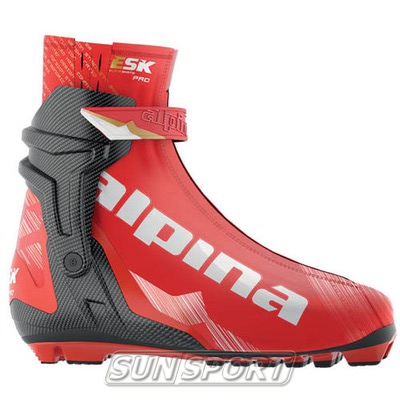 Ботинки лыжные Alpina ESP Skate 14/15