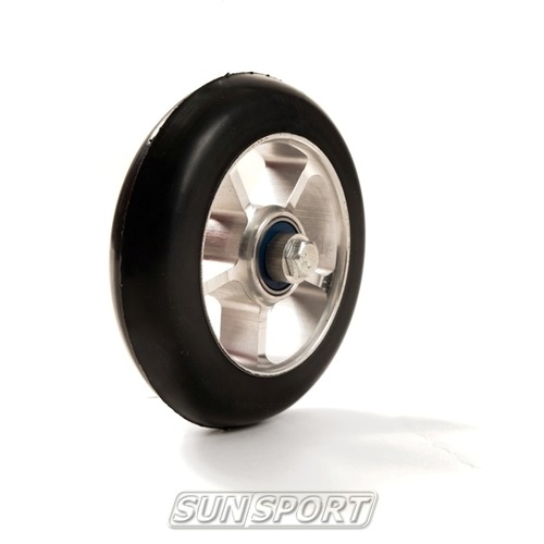    Shamov Skate (2-3) 100  ()