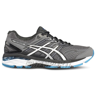   Asics M GT-2000 5  ()