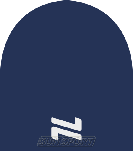  NordSki Logo 