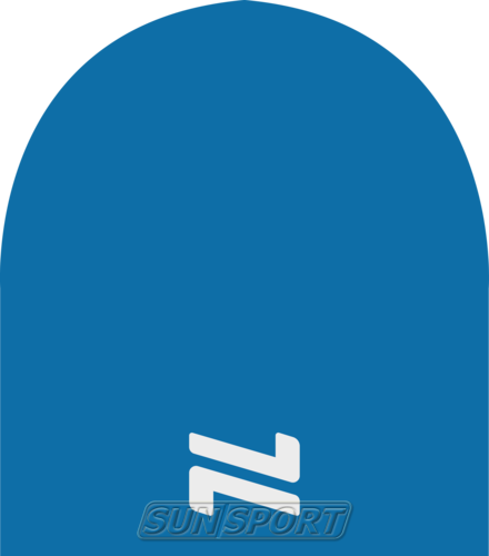  NordSki Logo  ()
