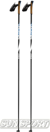 Палки лыжные Salomon S-Max Carbon Click (фото)