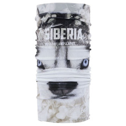  Buff Original Siberia
