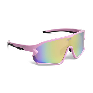  KV+ Ticino lilac (2)