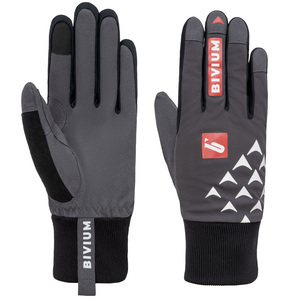 �������� Bivium Ski ������