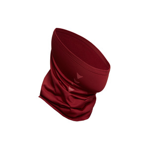 �������-��� Bivium ������ 2.0 ��������