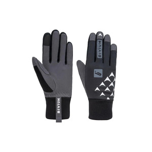 �������� Bivium Ski ������
