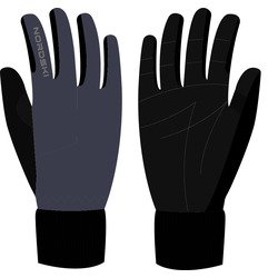  NordSki JR Arctic  BlueBerry