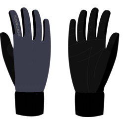  NordSki Arctic BlueBerry